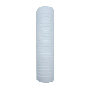 Bujía Dispufil para Bujía 10" X 2.5" de Celulosa 1 Micras